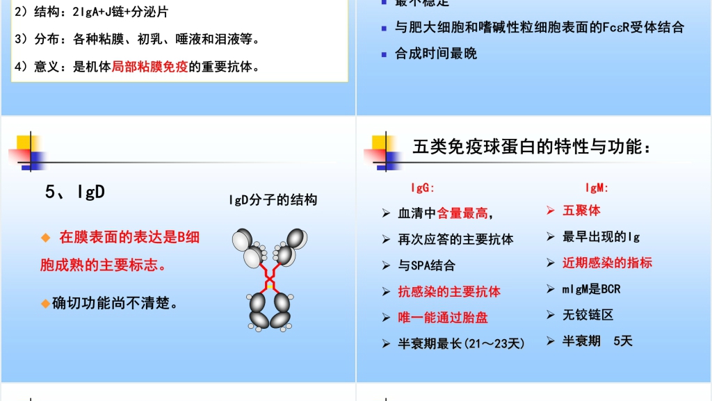 免疫学免疫球蛋白与抗体PPT课件 免疫学免疫球蛋白与抗体PPT课件
