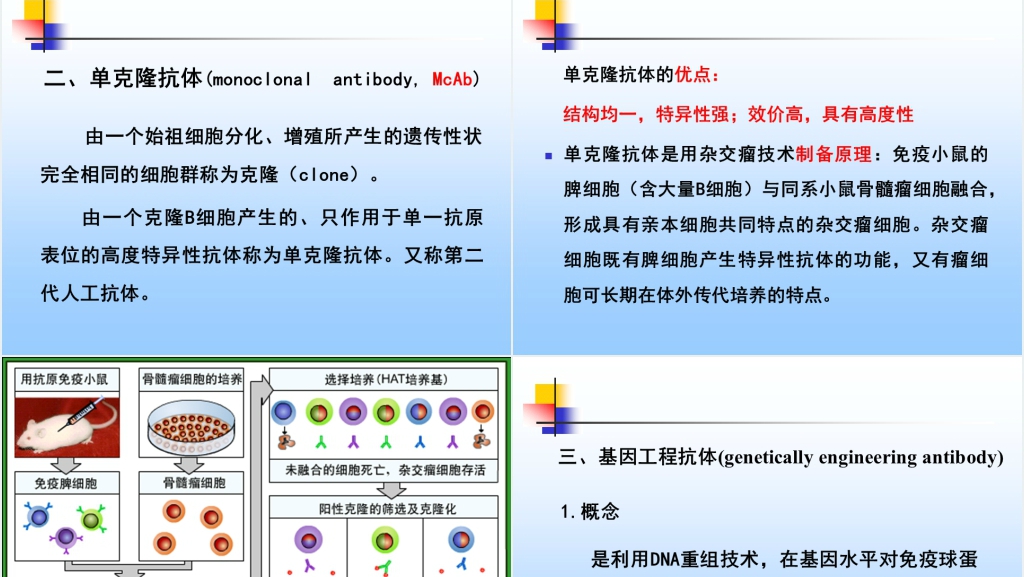 免疫学免疫球蛋白与抗体PPT课件 免疫学免疫球蛋白与抗体PPT课件