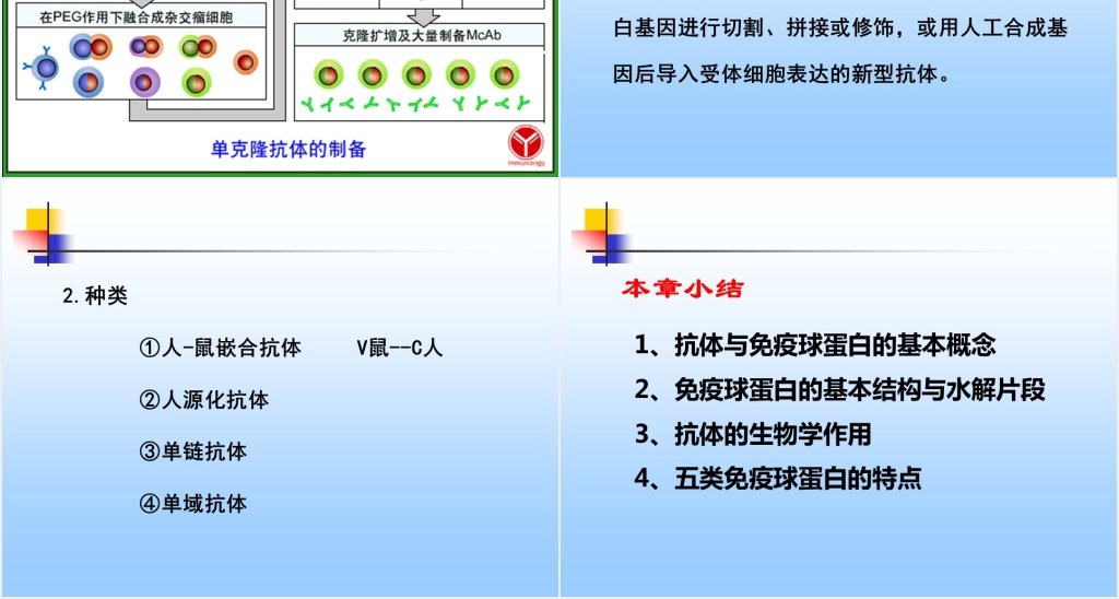 免疫学免疫球蛋白与抗体PPT课件 免疫学免疫球蛋白与抗体PPT课件