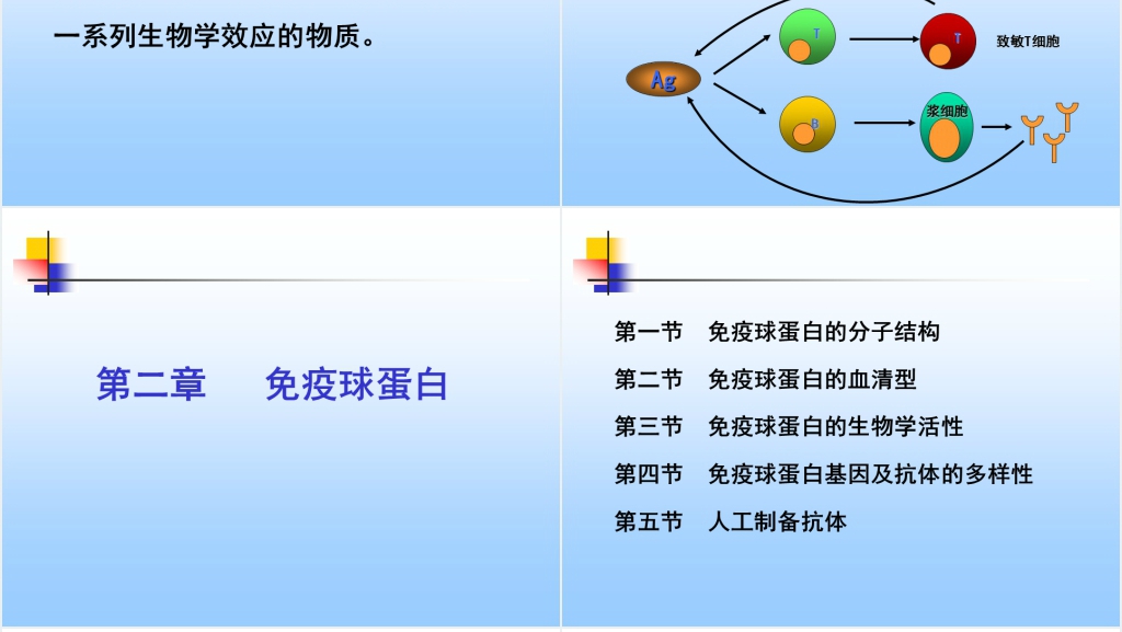 免疫学免疫球蛋白与抗体PPT课件 免疫学免疫球蛋白与抗体PPT课件