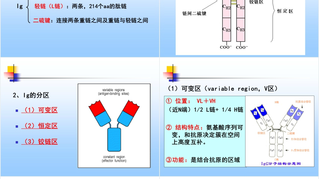 免疫学免疫球蛋白与抗体PPT课件 免疫学免疫球蛋白与抗体PPT课件