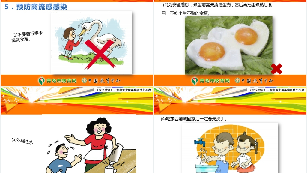 发生重大传染病疫情怎么办PPT课件 发生重大传染病疫情怎么办PPT课件
