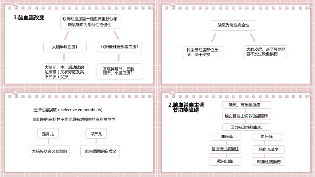 新生儿缺氧缺血性脑病PPT创意清新医疗教学各种疾病医理PPT模板