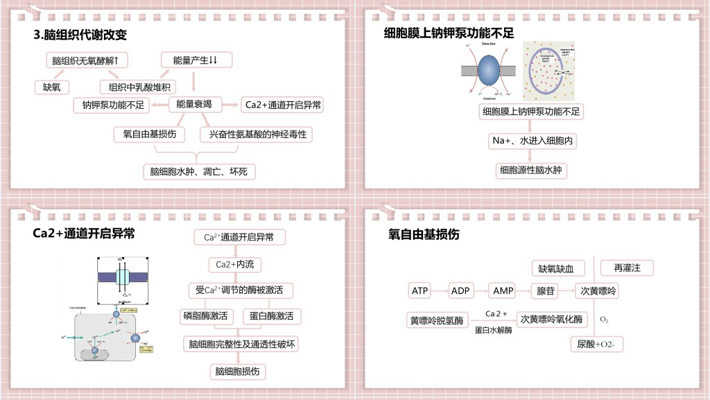 新生儿缺氧缺血性脑病PPT创意清新医疗教学各种疾病医理PPT模板