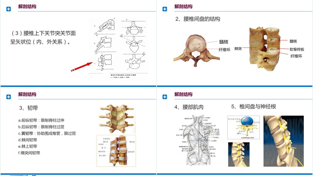 腰间盘突出症诊断与治疗PPT模板 腰间盘突出症诊断与治疗PPT模板