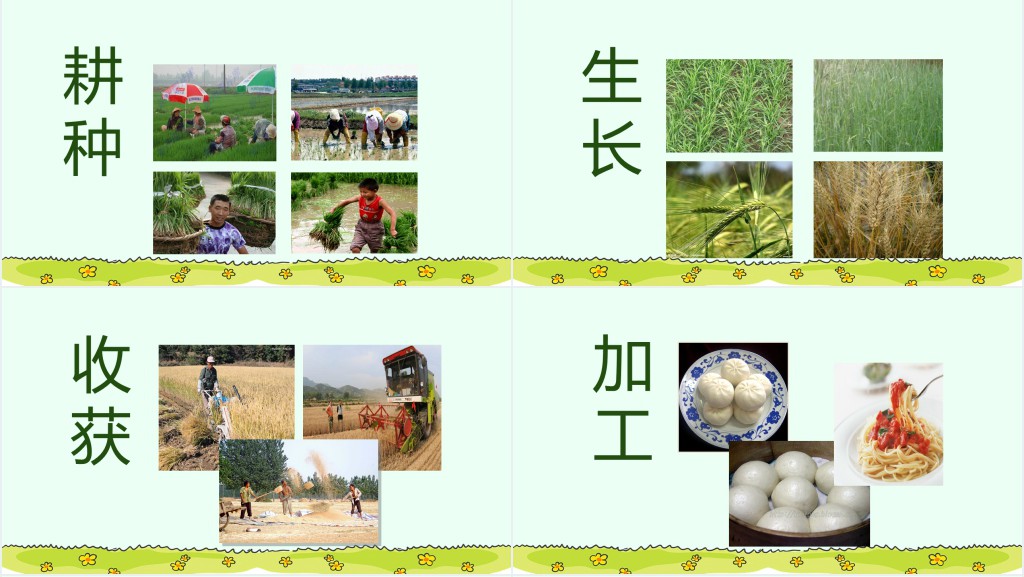 世界粮食日宣传主题教案PPT课件 世界粮食日宣传主题教案PPT课件