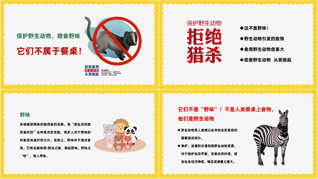 卡通插画风中小学生拒食野生动物主题班会PPT课件