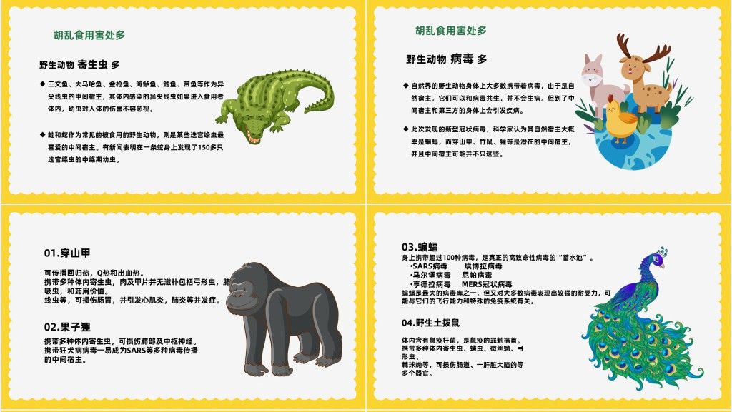 卡通插画风中小学生拒食野生动物主题班会PPT课件