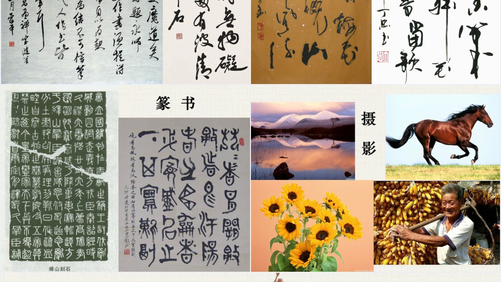 《培养审美的眼睛》美术教案PPT课件