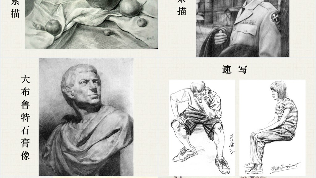 《培养审美的眼睛》美术教案PPT课件