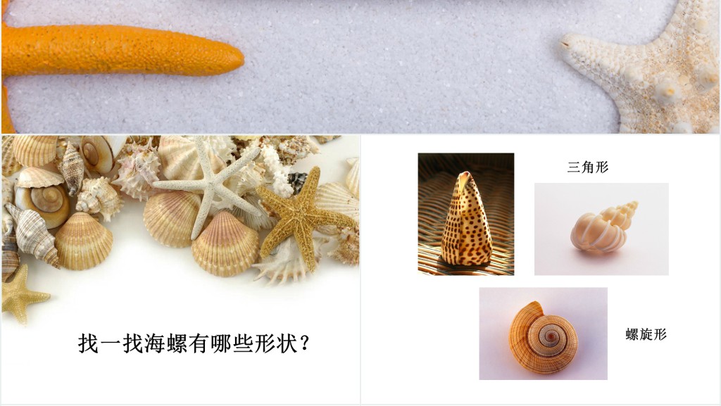 小学一年级下册美术海洋的礼物PPT课件 小学一年级下册美术海洋的礼物PPT课件