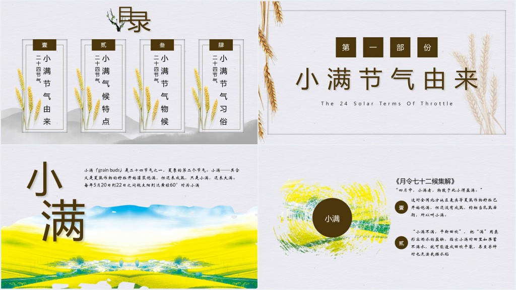 小满节气的由来特点PPT模板 小满节气的由来特点PPT模板