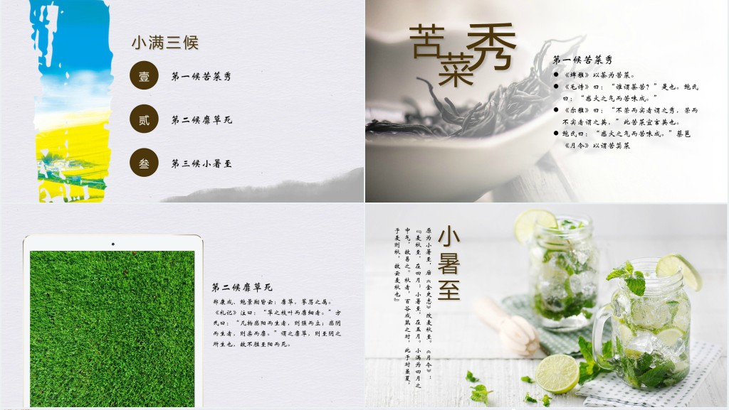 小满节气的由来特点PPT模板 小满节气的由来特点PPT模板