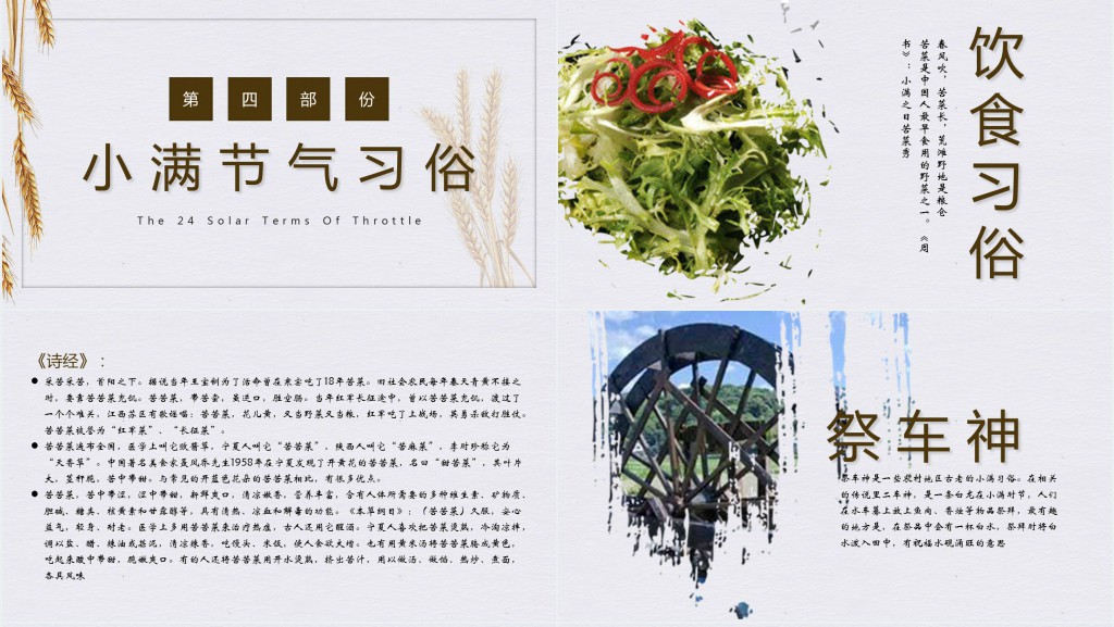 小满节气的由来特点PPT模板 小满节气的由来特点PPT模板