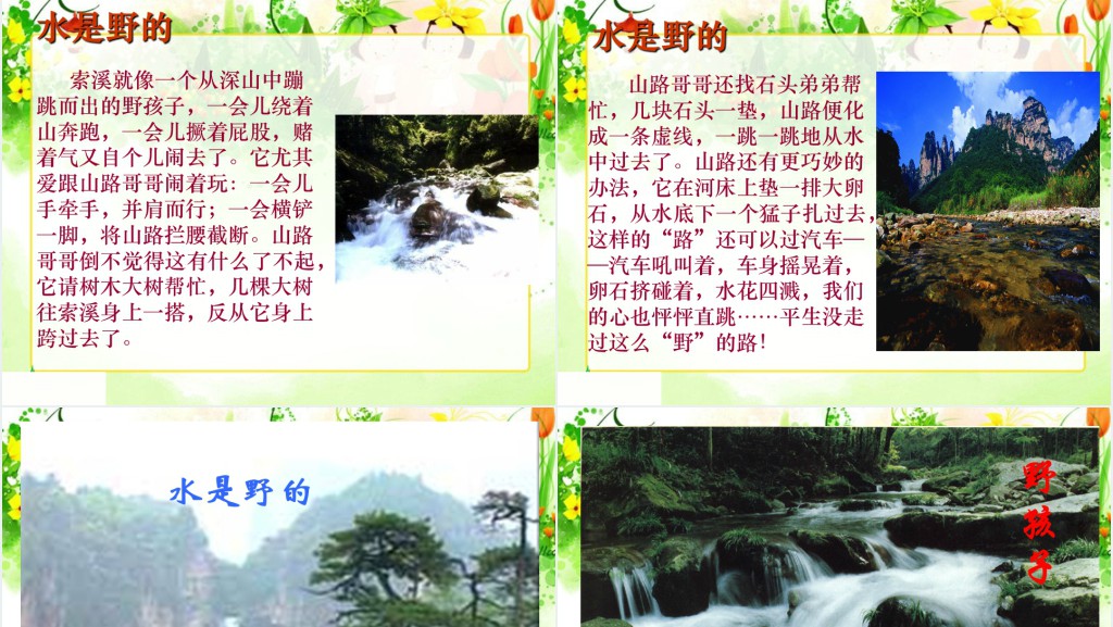 《索溪峪的“野”》课文教案PPT课件 《索溪峪的“野”》课文教案PPT课件