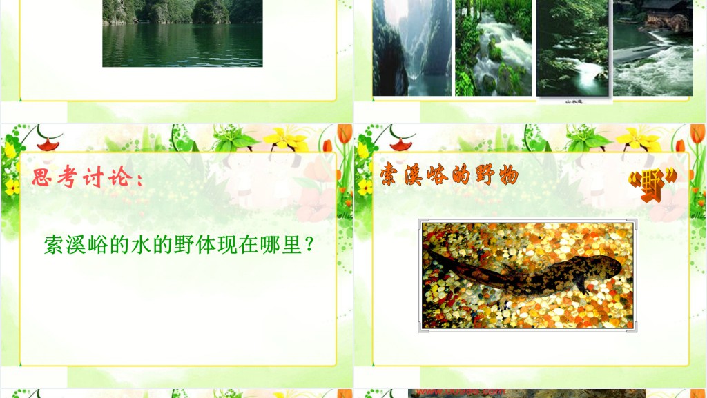 《索溪峪的“野”》课文教案PPT课件 《索溪峪的“野”》课文教案PPT课件