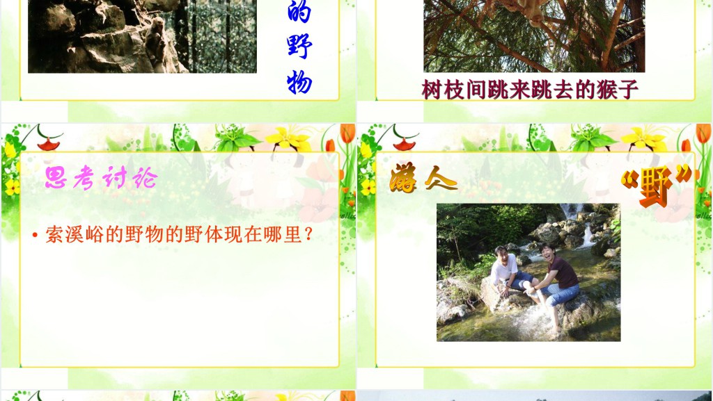 《索溪峪的“野”》课文教案PPT课件 《索溪峪的“野”》课文教案PPT课件