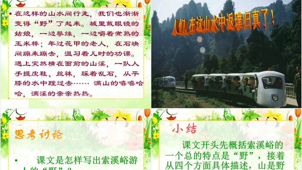 《索溪峪的“野”》课文教案PPT课件 《索溪峪的“野”》课文教案PPT课件