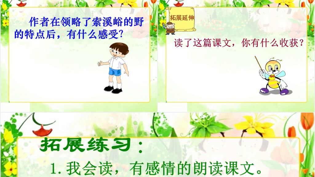 《索溪峪的“野”》课文教案PPT课件 《索溪峪的“野”》课文教案PPT课件