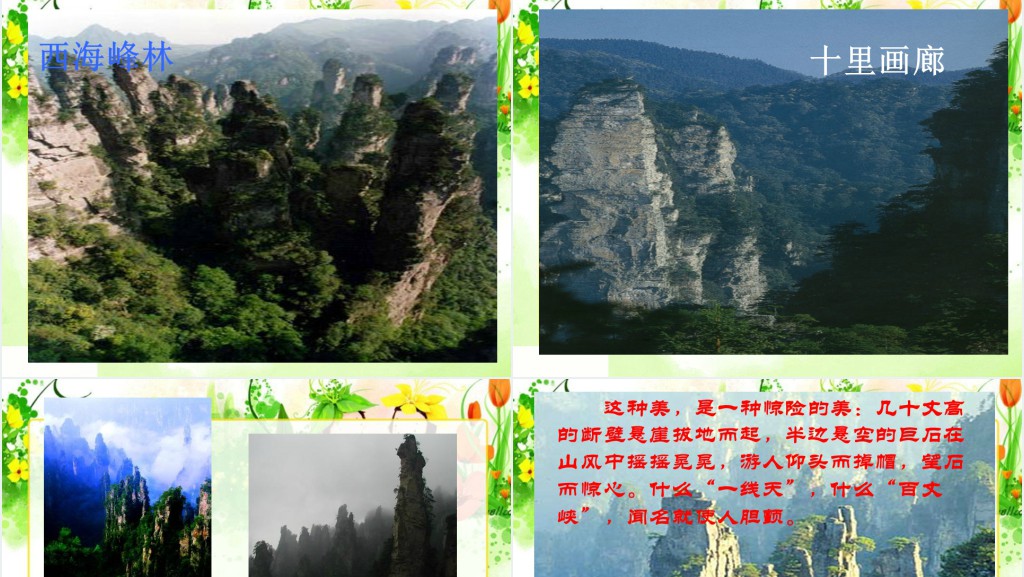 《索溪峪的“野”》课文教案PPT课件 《索溪峪的“野”》课文教案PPT课件