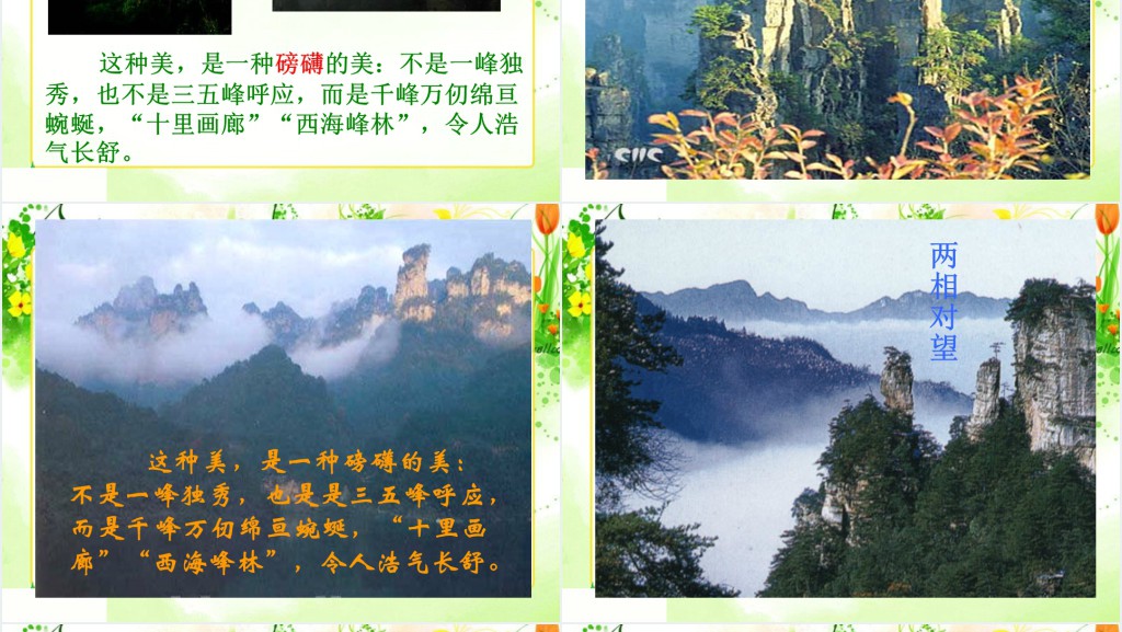 《索溪峪的“野”》课文教案PPT课件 《索溪峪的“野”》课文教案PPT课件