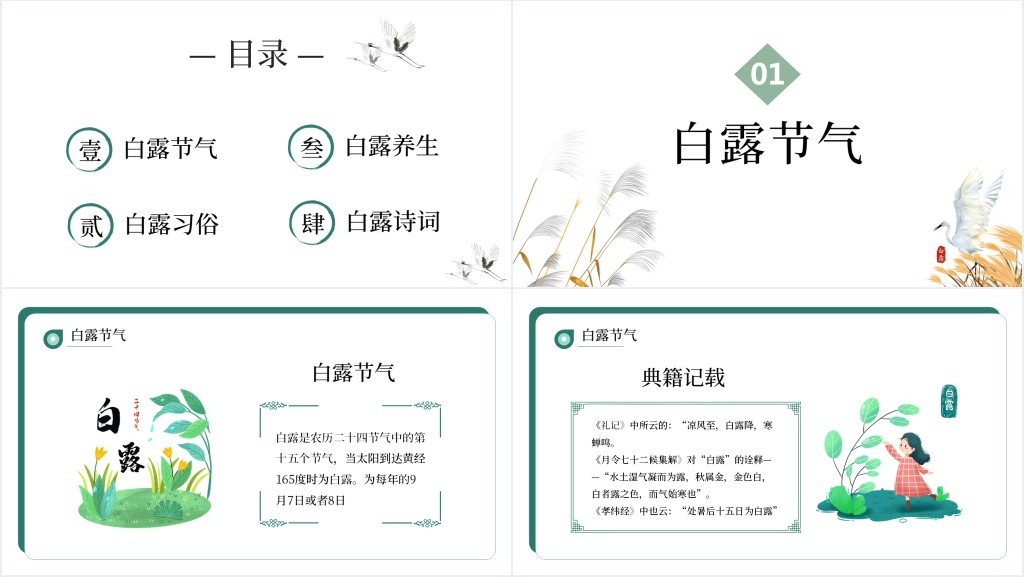 白露节气知识宣讲介绍PPT模板 白露节气知识宣讲介绍PPT模板