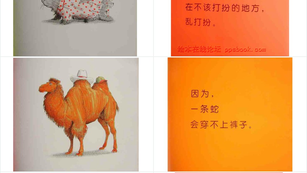 《动物绝对不应该穿衣服》绘本故事PPT课件 《动物绝对不应该穿衣服》绘本故事PPT课件