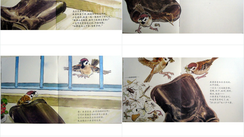 《雨靴里的麻雀》绘本故事PPT课件 《雨靴里的麻雀》绘本故事PPT课件