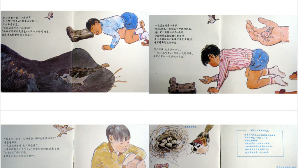 《雨靴里的麻雀》绘本故事PPT课件 《雨靴里的麻雀》绘本故事PPT课件