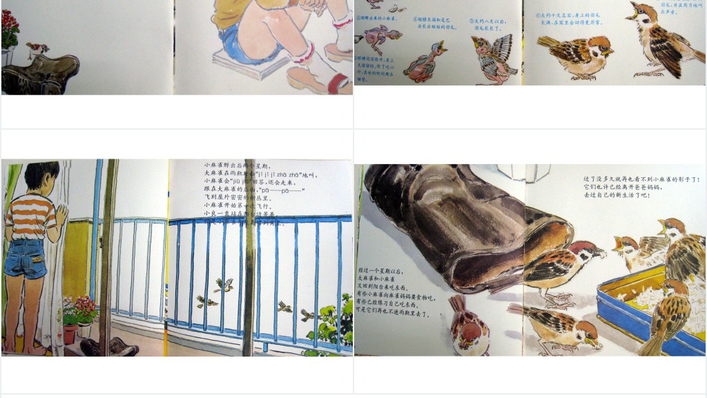 《雨靴里的麻雀》绘本故事PPT课件 《雨靴里的麻雀》绘本故事PPT课件