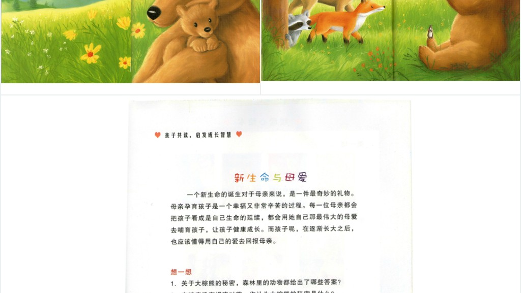 《大棕熊的秘密》绘本故事PPT课件 《大棕熊的秘密》绘本故事PPT课件