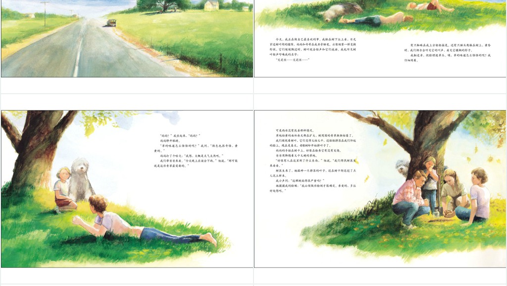 《艾莉丝的树》绘本故事PPT课件 《艾莉丝的树》绘本故事PPT课件