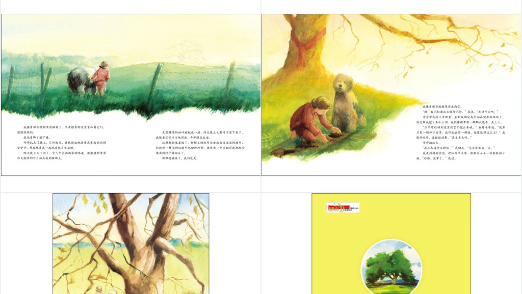 《艾莉丝的树》绘本故事PPT课件 《艾莉丝的树》绘本故事PPT课件
