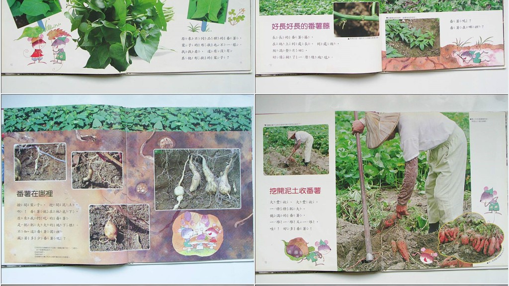 《番薯》绘本故事PPT课件 《番薯》绘本故事PPT课件