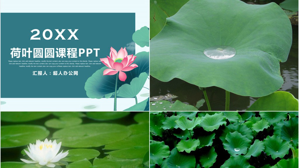 一年级语文下册荷叶圆圆PPT课件 一年级语文下册荷叶圆圆PPT课件