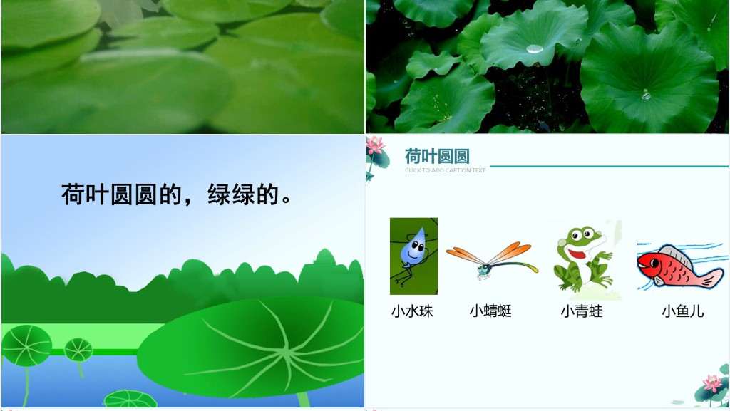 一年级语文下册荷叶圆圆PPT课件 一年级语文下册荷叶圆圆PPT课件