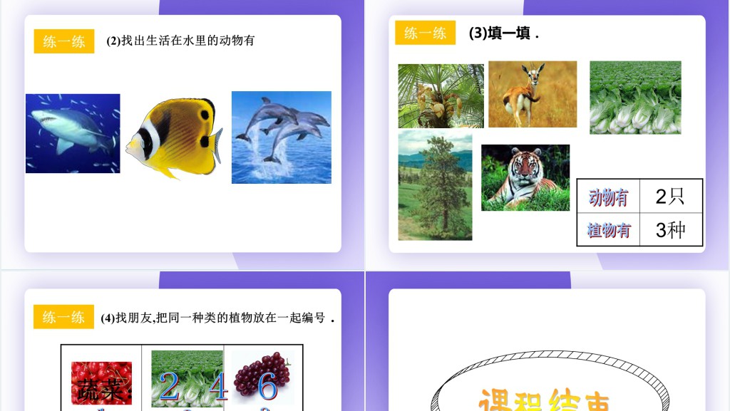 小学一年级数学下册物体分类PPT课件 小学一年级数学下册物体分类PPT课件