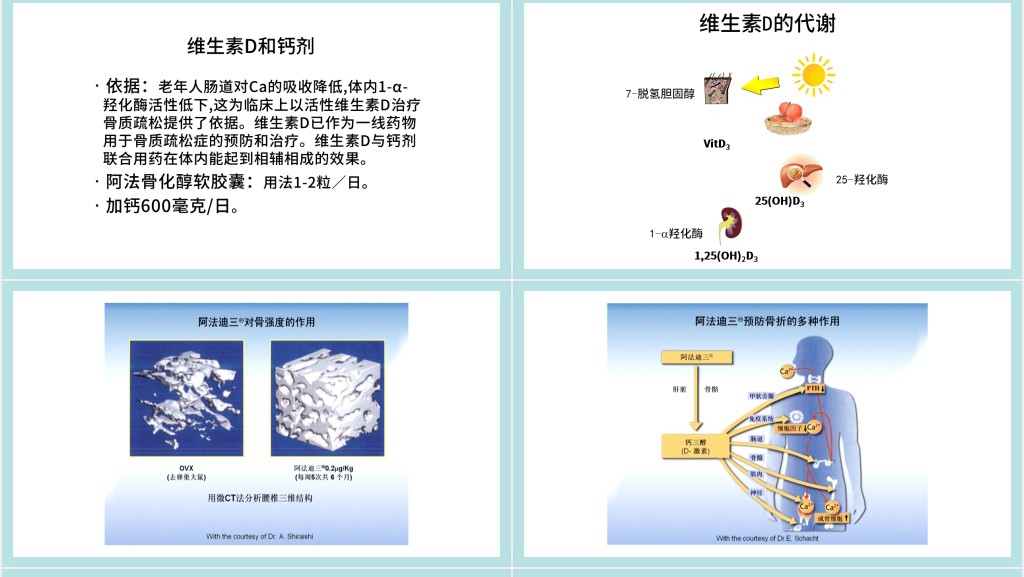 10月20日世界骨质疏松日PPT课件