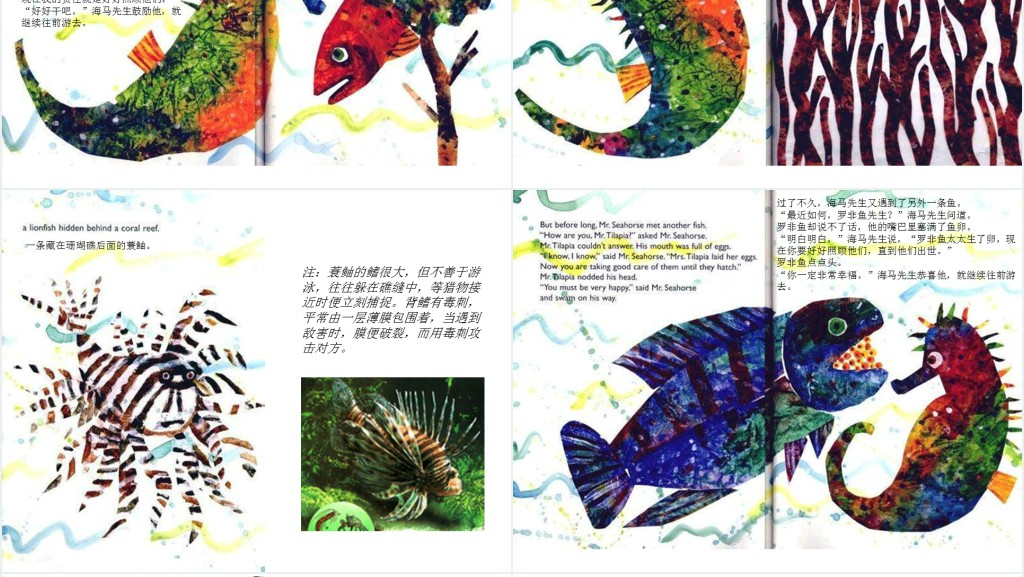 海马先生绘本故事PPT课件 海马先生绘本故事PPT课件