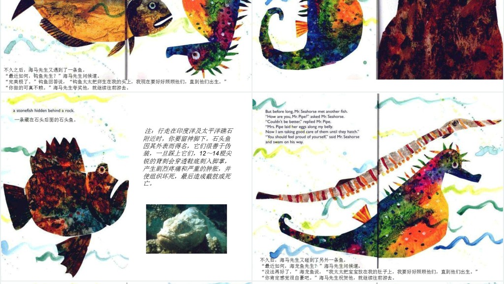 海马先生绘本故事PPT课件 海马先生绘本故事PPT课件