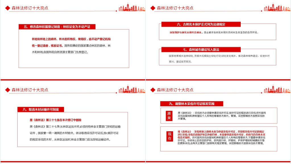 严格依法采伐手续禁止乱砍滥伐林木PPT党课 严格依法采伐手续禁止乱砍滥伐林木PPT党课