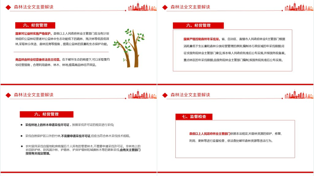严格依法采伐手续禁止乱砍滥伐林木PPT党课 严格依法采伐手续禁止乱砍滥伐林木PPT党课