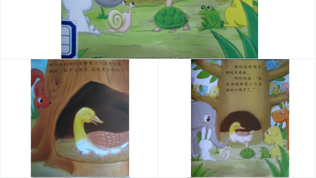 划圈儿的小小鸭绘本故事PPT课件 划圈儿的小小鸭绘本故事PPT课件
