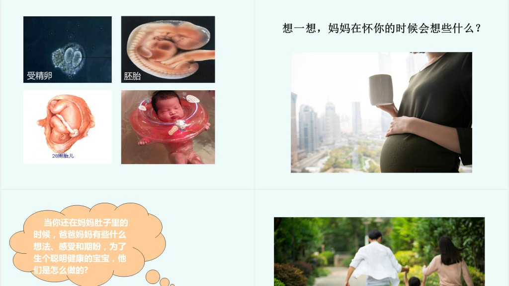 品德与社会我们的生命PPT课件 品德与社会我们的生命PPT课件