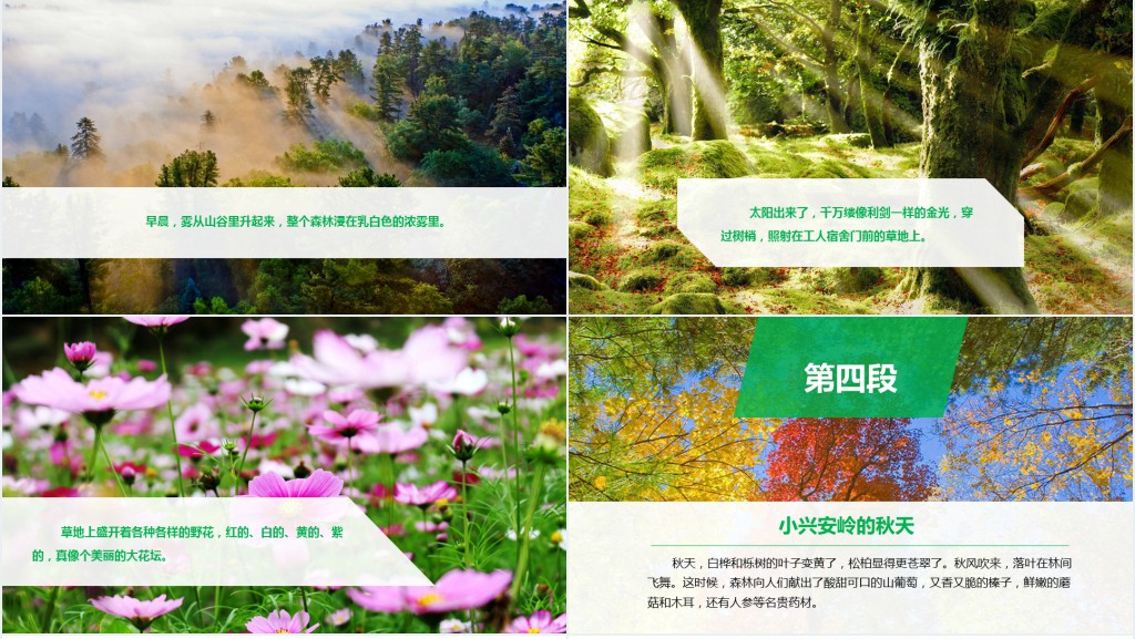 人教版小学三年级美丽的小兴安岭教案PPT课件 人教版小学三年级美丽的小兴安岭教案PPT课件
