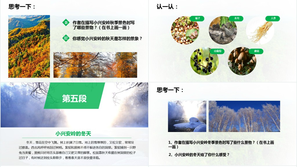 人教版小学三年级美丽的小兴安岭教案PPT课件 人教版小学三年级美丽的小兴安岭教案PPT课件