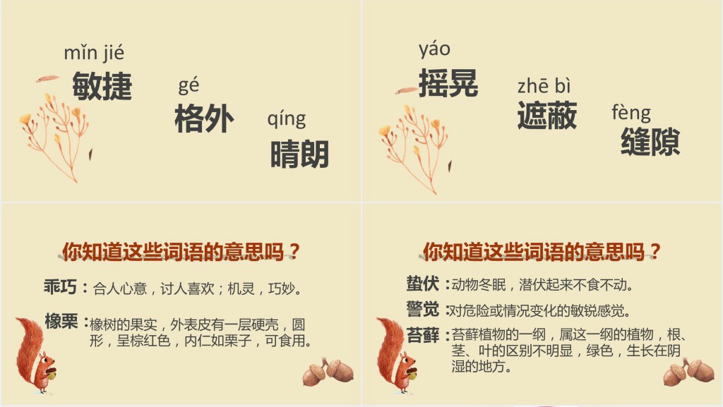 人教版松鼠课文教案PPT课件 人教版松鼠课文教案PPT课件