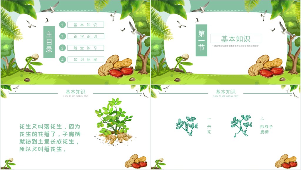 落花生课文教案PPT课件 落花生课文教案PPT课件