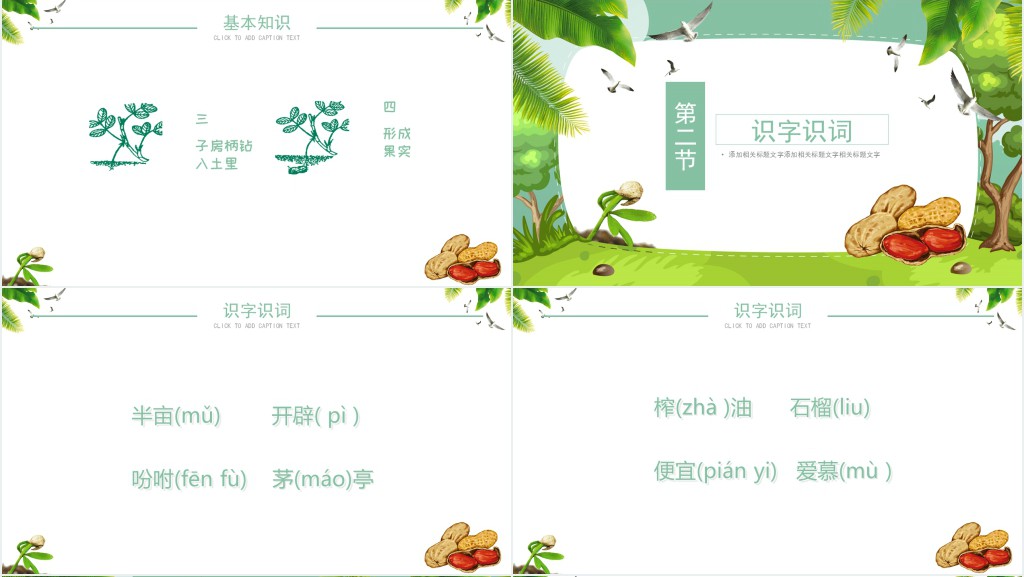 落花生课文教案PPT课件 落花生课文教案PPT课件