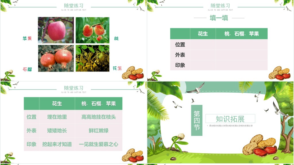 落花生课文教案PPT课件 落花生课文教案PPT课件